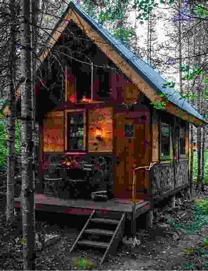 A Cozy Tiny House Built In The Woods Tiny Houses: Tiny Houses Lifestyle How To Build A Perfect Tiny Houses And Live Mortgage Free Tiny Homes Tiny House Plan Tiny House Hacks