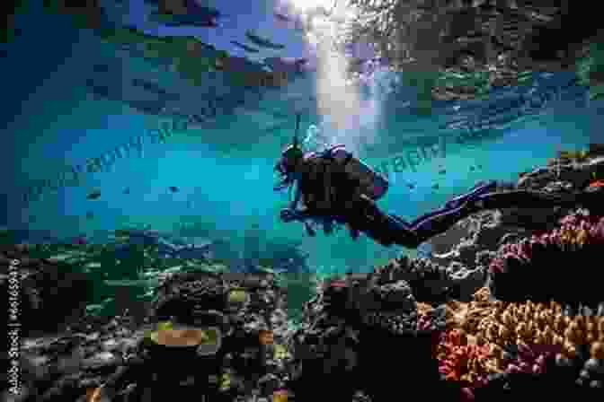 A Diver Exploring A Coral Reef, Highlighting The Biodiversity And Economic Importance Of Marine Ecosystems. Oceans: How We Use The Seas (Our Fragile Planet)