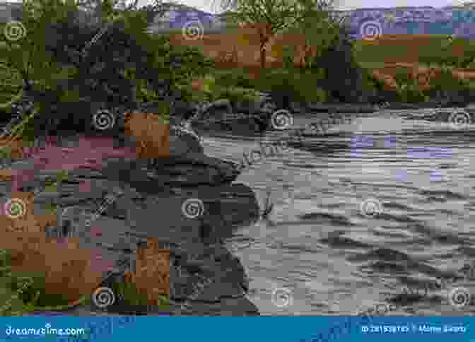 A Serene Riverbank Surrounded By Lush Vegetation, Providing An Ideal Habitat For Wild Otters. Wild Otters: Predation And Populations