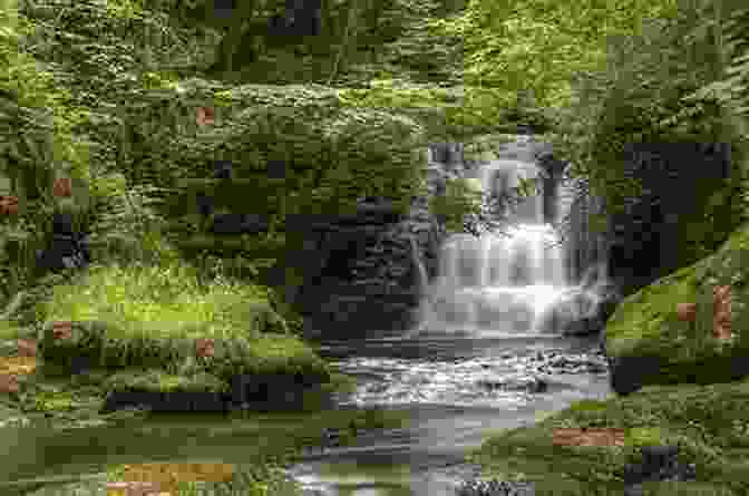 A Stunning Waterfall In Stainmore, Surrounded By Lush Greenery And Rock Formations Walking The Orton Fells (Walks In Kirkby Stephen District 7)