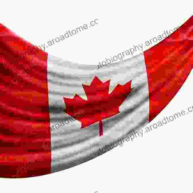 An Illustration Of A Canadian Flag Waving On Top Of A Hockey Rink The Three Canadian Pigs: A Hockey Story