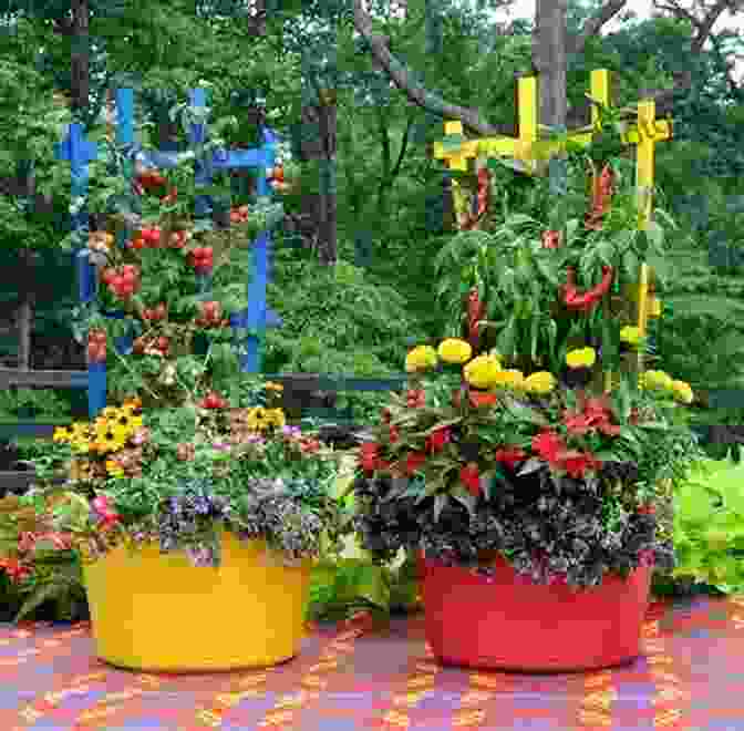 Assortment Of Colorful Pots And Containers Brimming With Thriving Vegetable Plants How To Grow Vegetables In Pots Containers: 9 Steps To Plant Harvest Organic Food In As Little As 21 Days For Beginners