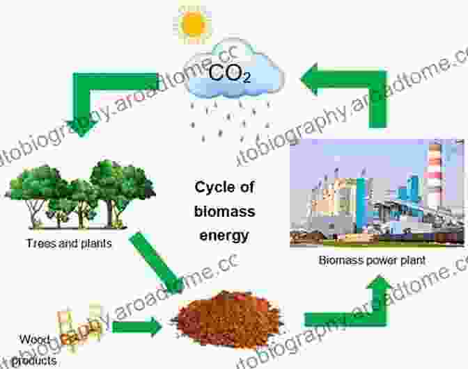 Biomass Conversion For Sustainable Energy Technologies For Converting Biomass To Useful Energy: Combustion Gasification Pyrolysis Torrefaction And Fermentation (Sustainable Energy Developments 4)