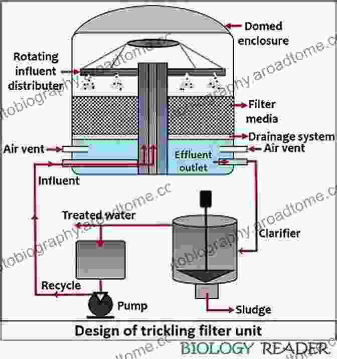 Biotrickling Filter Design And Mechanism From Biofiltration To Promising Options In Gaseous Fluxes Biotreatment: Recent Developments New Trends Advances And Opportunities