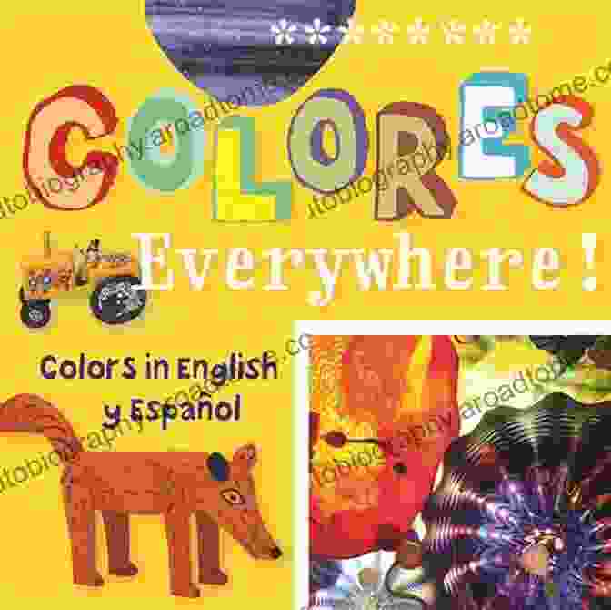 Book Cover Of Colors Colors Everywhere Bilingual For Kids Colors Colors Everywhere : A Bilingual For Kids