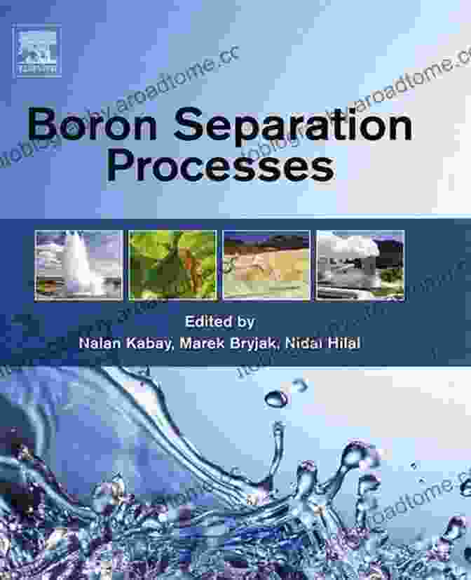 Boron Separation Processes Book Cover Boron Separation Processes