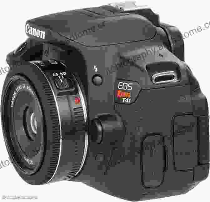 Canon EOS Rebel T4i/650D DSLR Camera Canon EOS Rebel T4i/650D Digital Field Guide