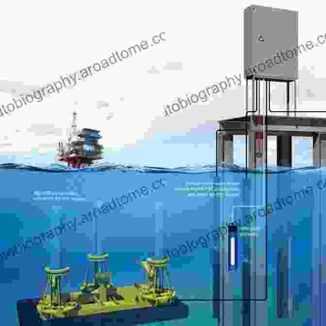 Cathodic Protection System Applied To A Metal Structure Paint And Coatings: Applications And Corrosion Resistance (Corrosion Technology 24)