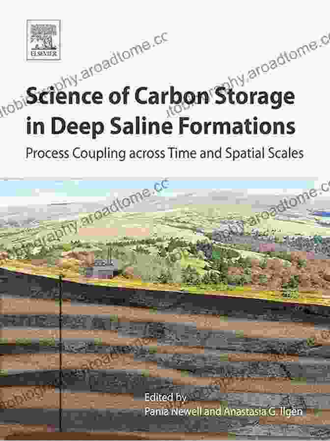 Cover Of The Book Process Coupling Across Time And Spatial Scales, Showcasing A Vibrant And Intricate Web Of Interconnected Processes In Earth Systems Science Of Carbon Storage In Deep Saline Formations: Process Coupling Across Time And Spatial Scales