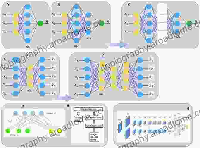 Deep Learning Architecture For Biomedical Applications Deep Learning For Biomedical Applications (Artificial Intelligence (AI): Elementary To Advanced Practices)