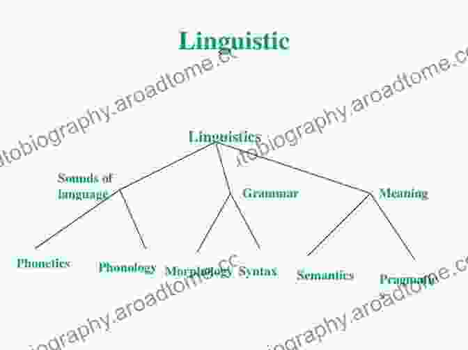 Diagram Showcasing The Structure Of A Sign Language The SAGE Deaf Studies Encyclopedia