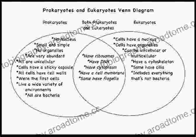 Diagram Showing The Parallels Between The Structure And Function Of Stars And Cells First Life: Discovering The Connections Between Stars Cells And How Life Began