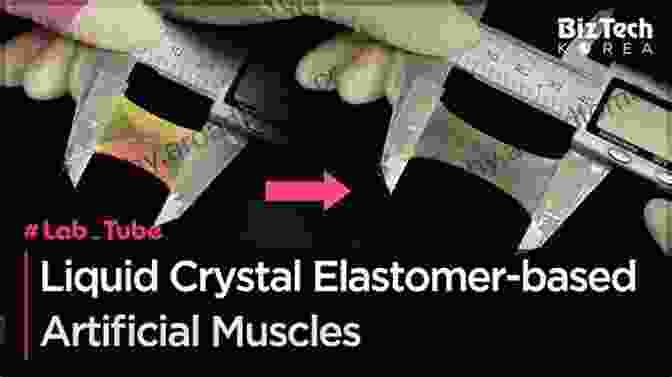 Dielectric Elastomer Artificial Muscle Mimicking Muscle Contractions Dielectric Elastomers As Electromechanical Transducers: Fundamentals Materials Devices Models And Applications Of An Emerging Electroactive Polymer Technology