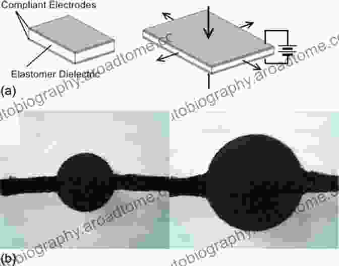 Dielectric Elastomer Stretching And Contracting Under Electrical Stimulation Dielectric Elastomers As Electromechanical Transducers: Fundamentals Materials Devices Models And Applications Of An Emerging Electroactive Polymer Technology