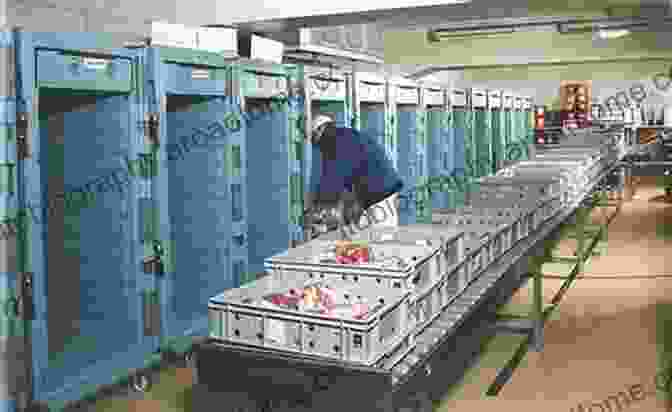 Distribution And Logistics Of Poultry Meat Products Poultry Meat Processing