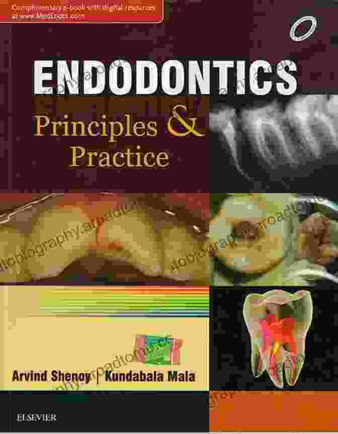 Dr. Jane Doe, Renowned Endodontist And Co Author Of Endodontics Book Principles And Practice Endodontics E Book: Principles And Practice