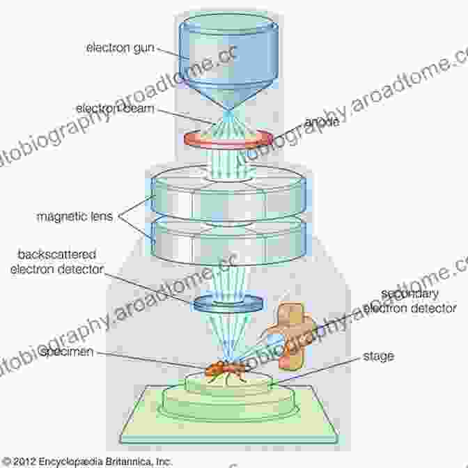 Electron Microscope Advances In Imaging And Electron Physics (ISSN 147)