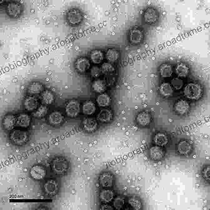 Electron Microscopy Image Of A Virus Particle Complementary Strategies To Study Virus Structure And Function (Advances In Virus Research 105)