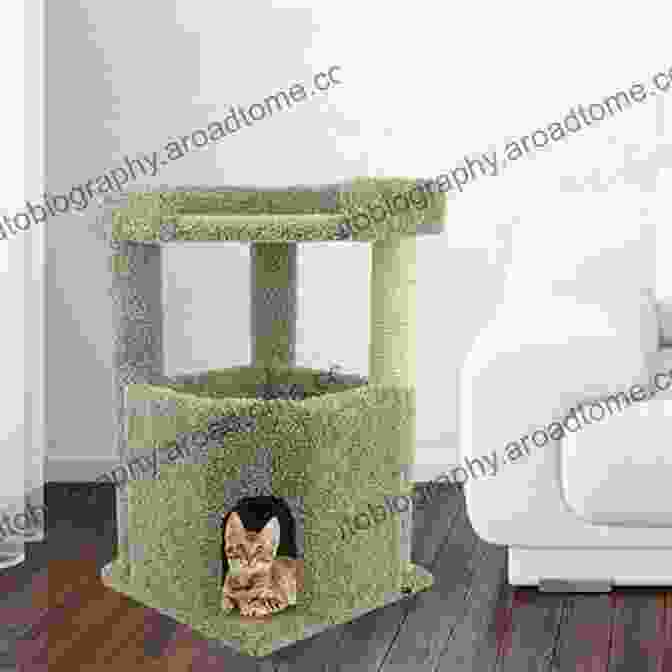 Elegant Living Room With A Dog Bed Nestled In A Cozy Corner And A Cat Tree Adorned With Toys Pet Friendly Sue Pethick