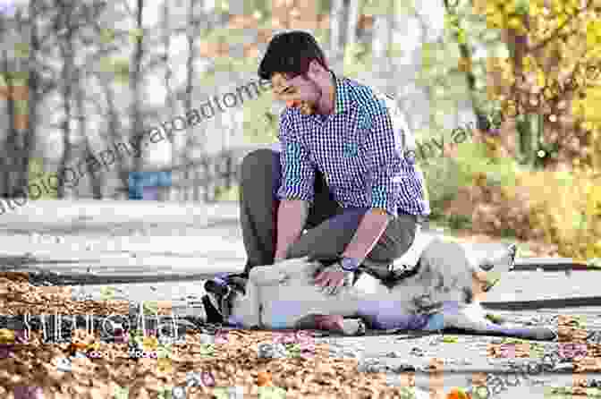 Father And Dog Bonding In The Park Dog Dad Diary Bill Kimberlin