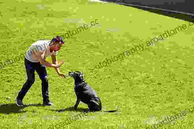 Father Training His Dog Dog Dad Diary Bill Kimberlin