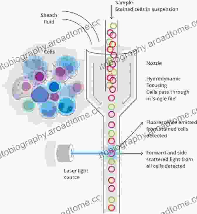 Flow Cytometry In Tumor Analysis Application Of Monoclonal Antibodies In Tumor Pathology (Developments In Oncology 50)