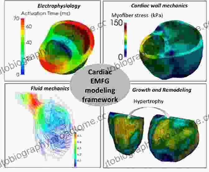 Image Of A Computational Model Of The Heart. Artificial Intelligence For Computational Modeling Of The Heart