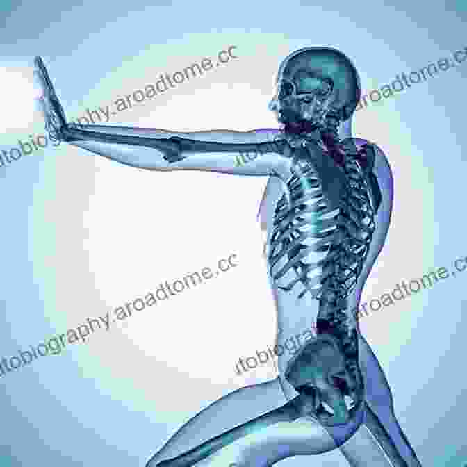 Image Of Healthy And Strong Bones The Aging Skeleton Clifford J Rosen