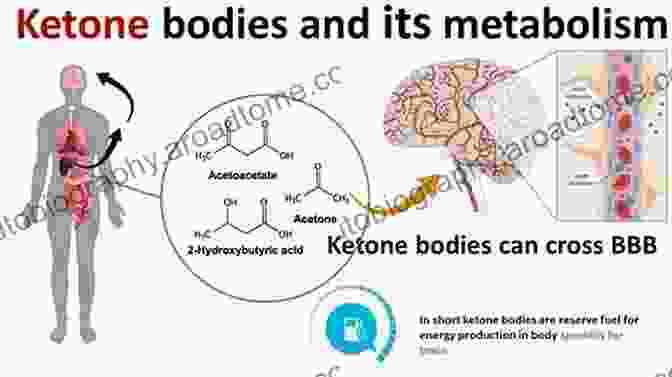 Ketones, The Fuel That Powers The Brain And Body During Ketosis The Cantin Ketogenic Diet For Cancer Type 1 2 Diabetes Epilepsy Other Ailments