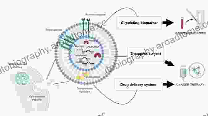 Liposomes: Tiny Vesicles, Big Impact In Cancer Drug Delivery Drug Delivery Systems In Cancer Therapy (Cancer Drug Discovery And Development)