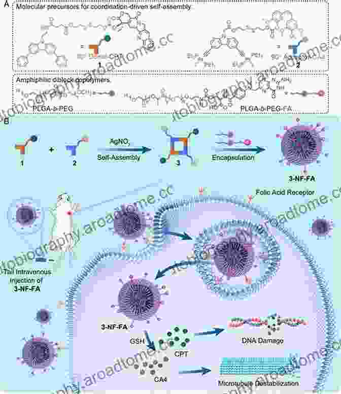 Micelles: Self Assembling Drug Carriers In Cancer Treatment Drug Delivery Systems In Cancer Therapy (Cancer Drug Discovery And Development)