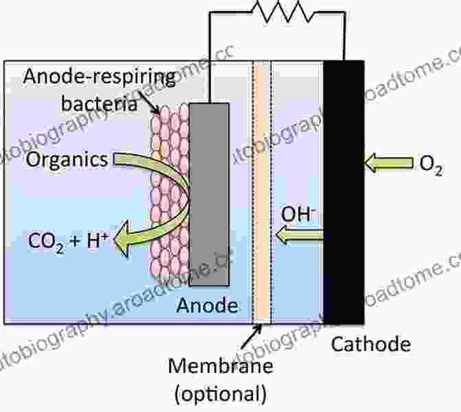 Microbial Fuel Cell Schematic Progress And Recent Trends In Microbial Fuel Cells