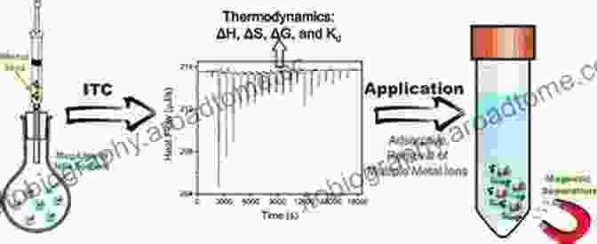 Microcalorimetry Unveils The Thermodynamics Of Microprocesses Geofluids: Developments In Microthermometry Spectroscopy Thermodynamics And Stable Isotopes (Vapor Liquid Equilibrium Data Bibliography)