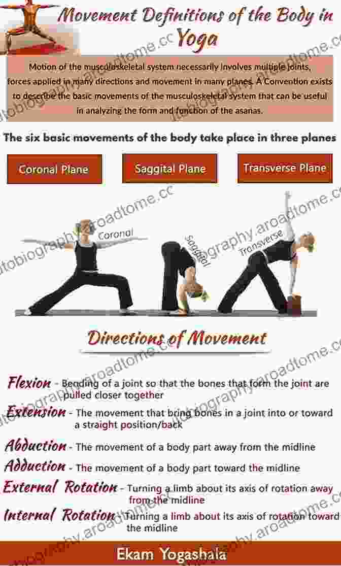 Musculoskeletal System For Yoga Teachers Key Aspects Of Anatomy For Yoga Teachers