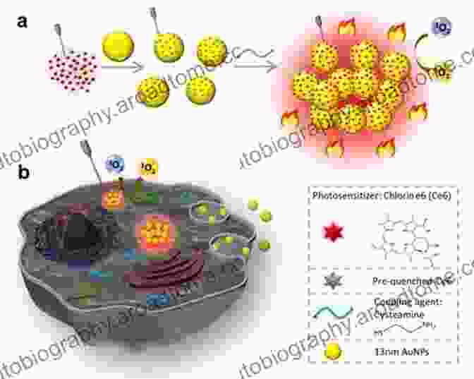 Nanoparticle Advances In Imaging And Electron Physics (ISSN 147)