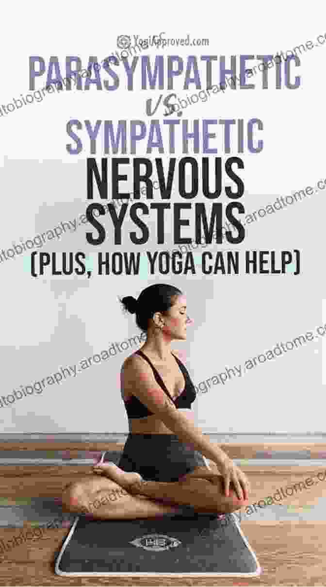 Nervous System For Yoga Teachers Key Aspects Of Anatomy For Yoga Teachers