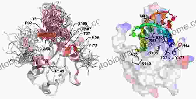 NMR Spectroscopy Image Of A Virus Protein Complementary Strategies To Study Virus Structure And Function (Advances In Virus Research 105)