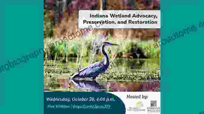 Passionate Advocacy For Wetland Preservation Ecological Modelling Of River Wetland Systems: A Case Study For The Abras De Mantequilla Wetland In Ecuador (IHE Delft PhD Thesis Series)