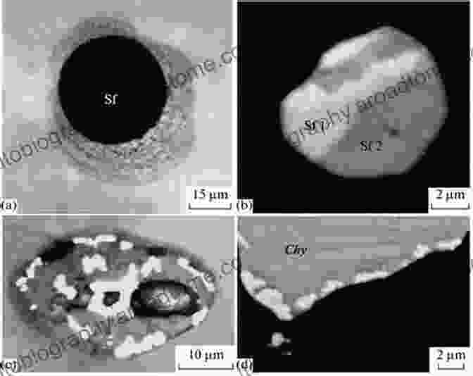 Photomicrograph Of Fluid Inclusions In A Sulfide Mineral Fluid Inclusion Effect In Flotation Of Sulfide Minerals