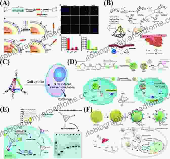 Polymeric Nanoparticles: Precision Guided Missiles In Cancer Therapy Drug Delivery Systems In Cancer Therapy (Cancer Drug Discovery And Development)