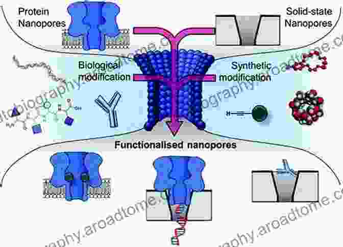 Principle Of Engineered Nanopores Engineered Nanopores For Bioanalytical Applications (Micro And Nano Technologies)