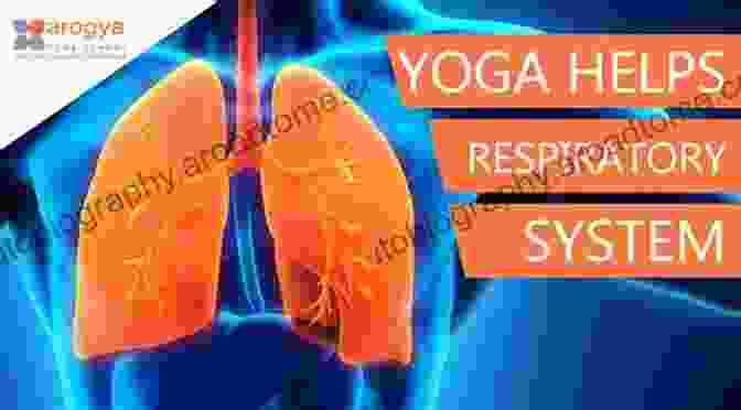 Respiratory System For Yoga Teachers Key Aspects Of Anatomy For Yoga Teachers