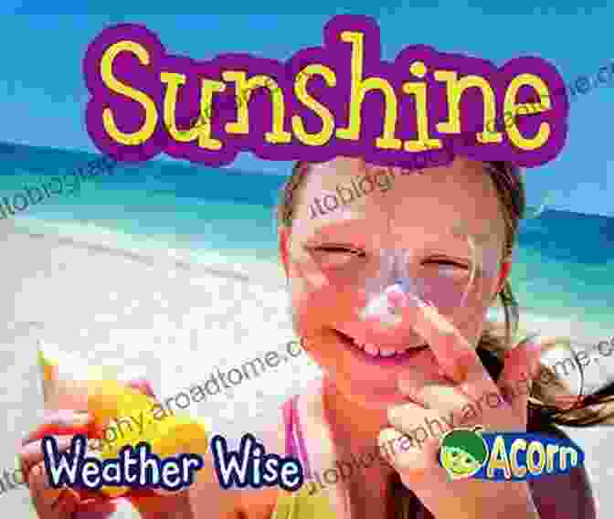 Sunshine Weather Wise Book Cover Sunshine (Weather Wise) Helen Cox Cannons