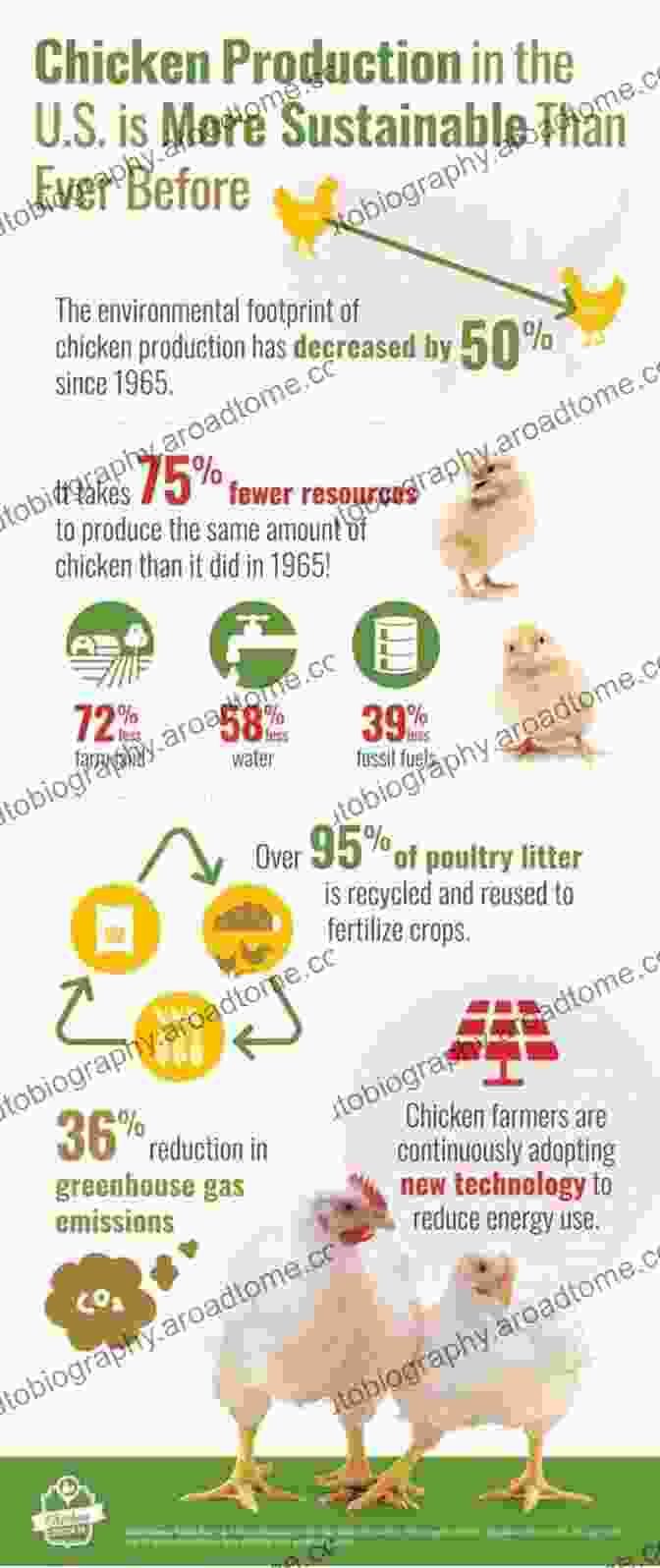 Sustainability And Environmental Impact In Poultry Meat Processing Poultry Meat Processing