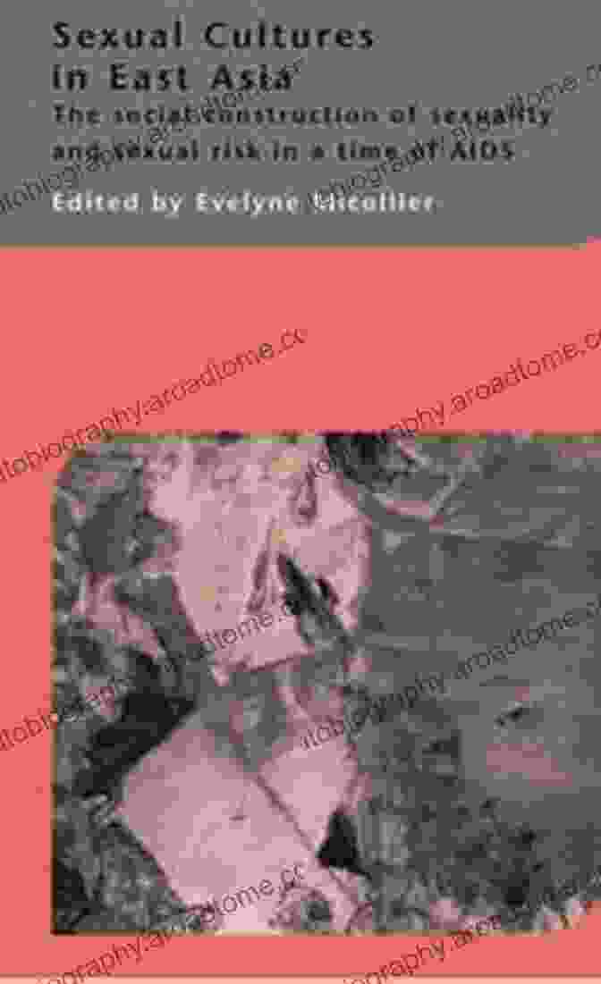 The Social Construction Of Sexuality And Sexual Risk In Time Of AIDS Sexual Cultures In East Asia: The Social Construction Of Sexuality And Sexual Risk In A Time Of AIDS (Routledge Curzon Iias Asian Studies Series)