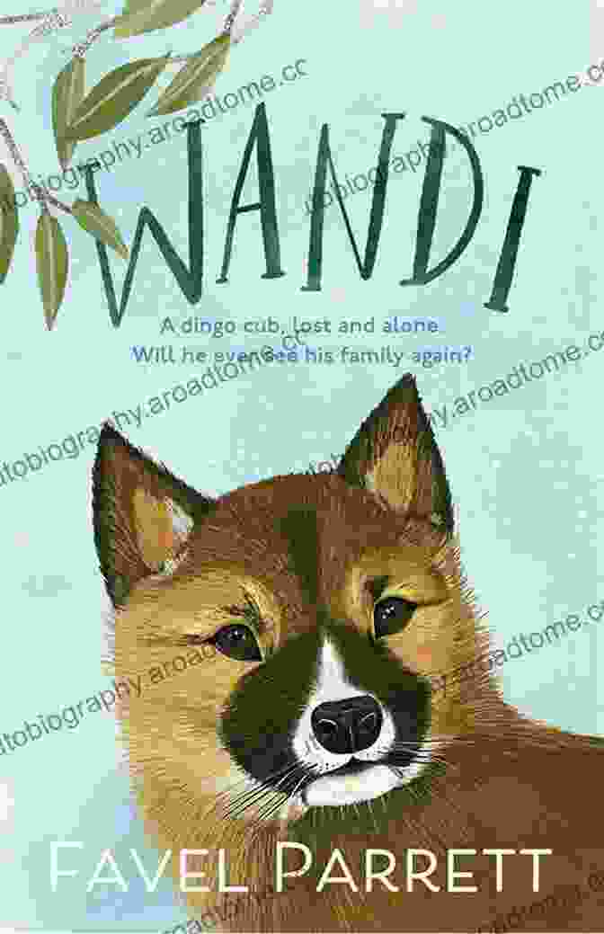 Wandi: A Novel By Favel Parrett Wandi Favel Parrett