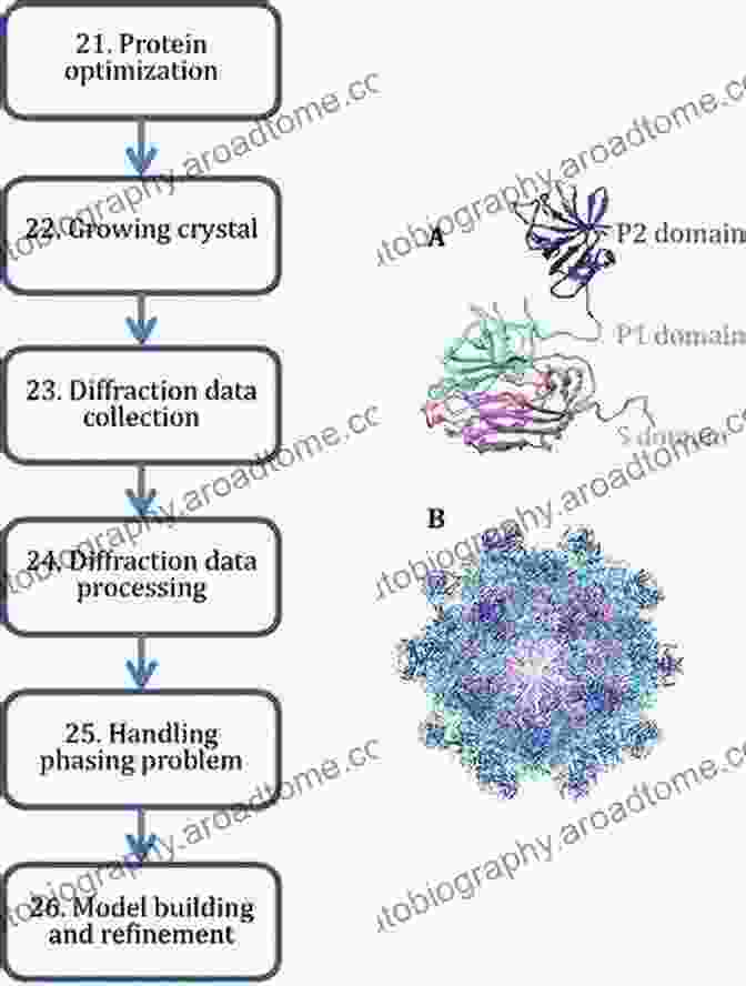 X Ray Crystallography Image Of A Virus Particle Complementary Strategies To Study Virus Structure And Function (Advances In Virus Research 105)