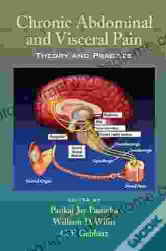 Chronic Abdominal And Visceral Pain: Theory And Practice