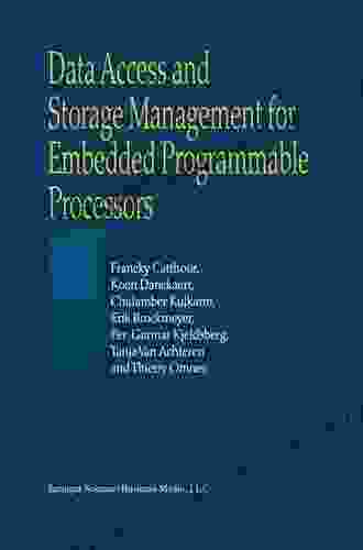 Data Access And Storage Management For Embedded Programmable Processors