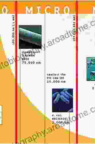 Ductile Shear Zones: From Micro To Macro Scales